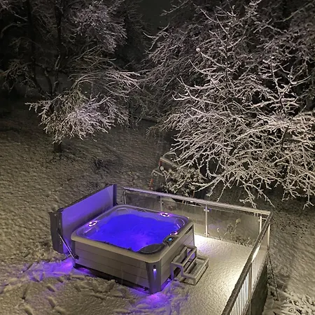 アパート Moidl Mit Privatem Pool ハート・イム・ツィラータール